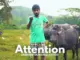 Sandaru Sathsara  Attention  Sandaru Sathsara (Cover) Mp3 Download