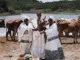 Bongeziwe Mabandla  Yalwa Mp3 Download