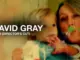 David Gray  Alibi Mp3 Download