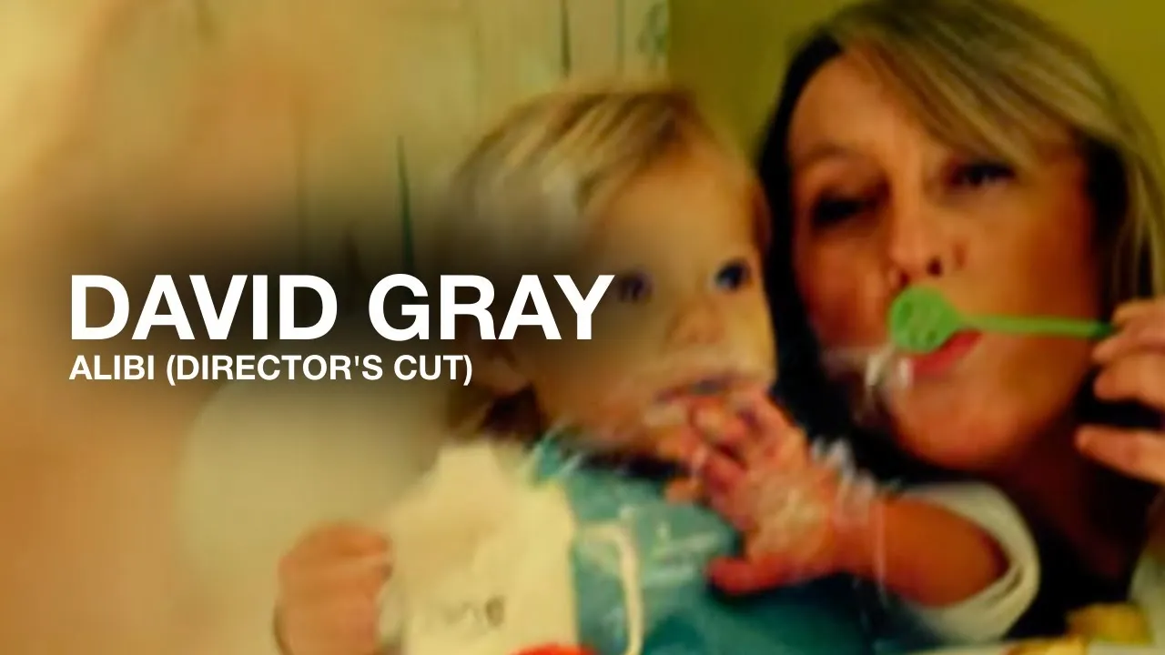 David Gray Alibi Mp3 Download