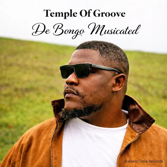 De Bongo Musicated Ngawe (Instrumental) Ft. Athenkosi Gqweta Mp3 Download