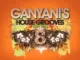 Dj Ganyani  Xigubu Ft. FB Mp3 Download