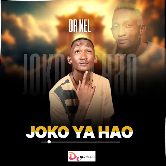 DR NEL JOKO YA HAO Mp3 Download