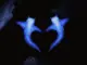 Dua Lipa  Two Hearts Ft. Danny L Harle Mp3 Download