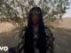 Dua Saleh  Flood  Ft. Bon Iver Mp3 Download