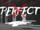 Icewear Vezzo  Perfect Ft. DaBaby Mp3 Download