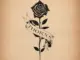 Jelly Roll  Thorns Mp3 Download