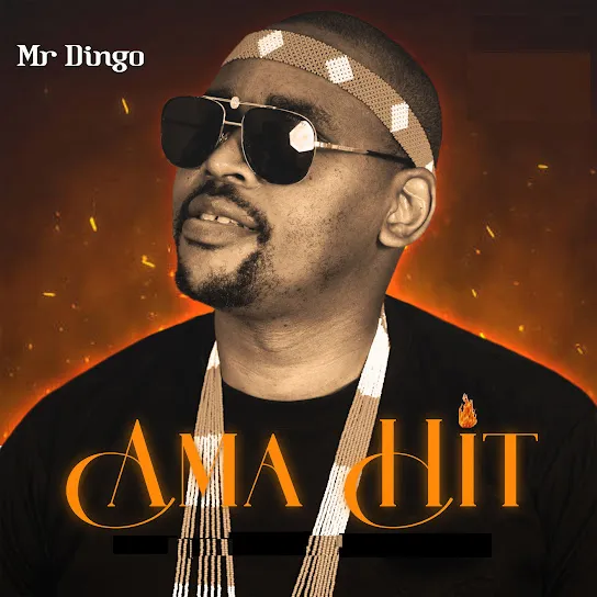Mr Dingo Ama Hit Mp3 Download