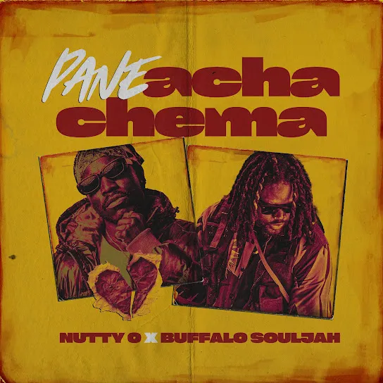 Nutty O Pane Acha Chema Ft. BUFFALO SOULJAH Mp3 Download