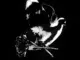 Pop Smoke  Aim For The Moon Ft. Quavo Mp3 Download