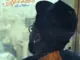 Rod Wave  Feed the Streets Mp3 Download