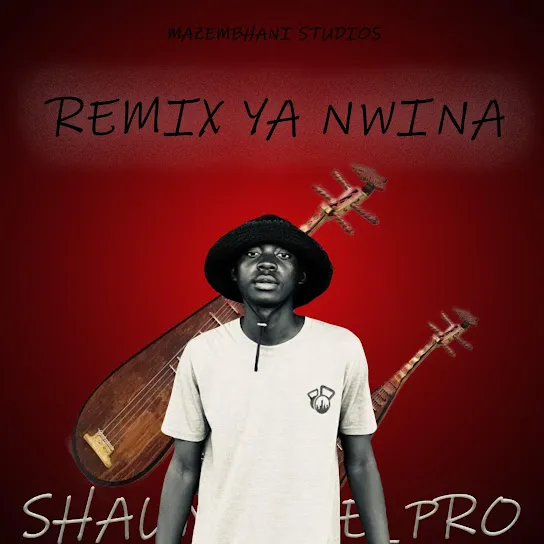 Shaun_The_Pro Hemzii 2.0 Mp3 Download