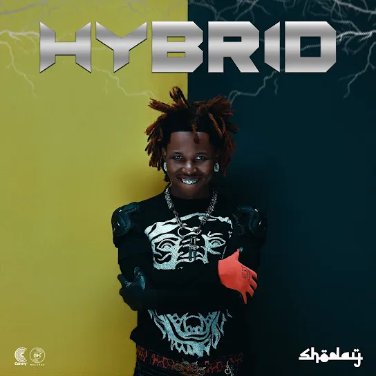 Shoday OBT Ft. BhadBoi OML Mp3 Download