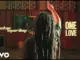 Skip Marley  One Love Mp3 Download