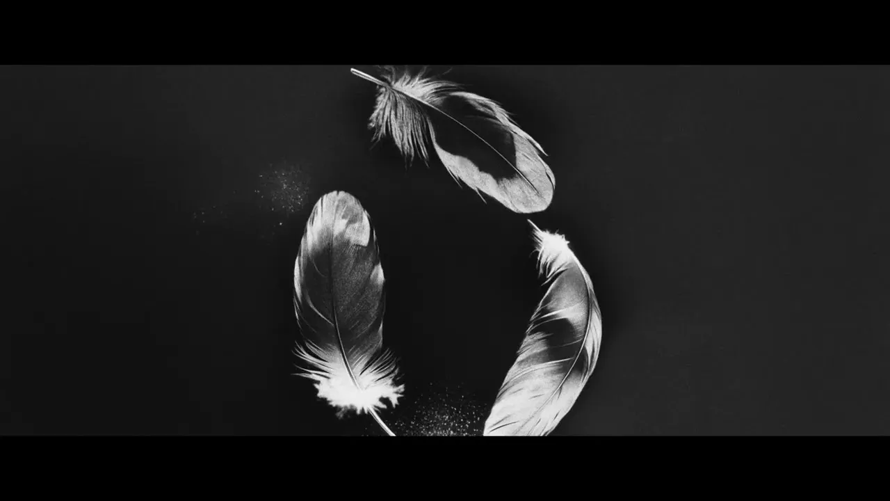 SLANDER Free Ft. ZOHARA & NGHTMRE Mp3 Download