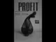 The Plug  PROFIT Mp3 Download