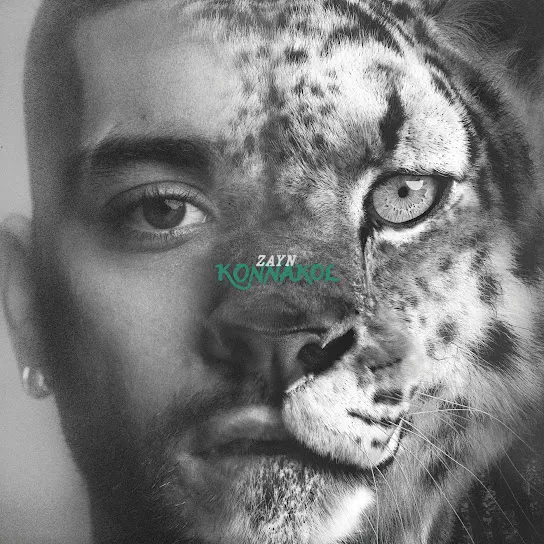 ZAYN Die For Me Mp3 Download