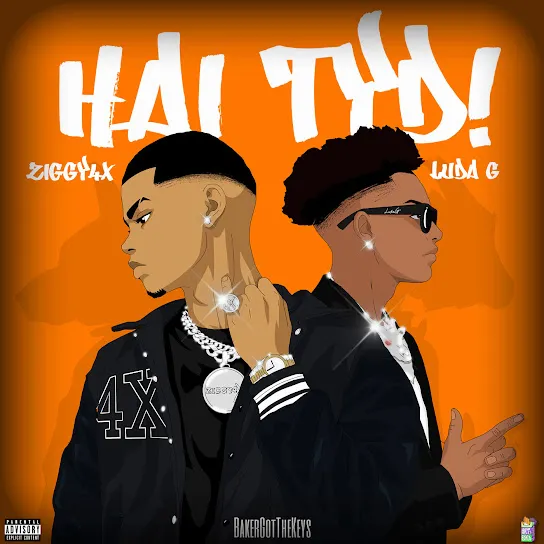 Ziggy4x Hai Tyd Ft. BakerGotTheKeys & Luda G Mp3 Download