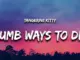 Dumb Ways to Die  Tangerine Kitty TikTok Song Mp3 Download