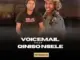 Inkosi kaVoicemail  Intaba zokhahlamba (izinsimbi remake) Mp3 Download