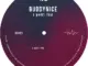 Buddynice  I Want You Ft. Nkosinathi Phakathi Mp3 Download
