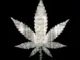 Wiz Khalifa  Jet Life Taylor Ft. Curren$y Mp3 Download