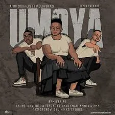 Afro Brotherz  Umoya (Caiiro Hub Mix) Ft. Indlovukazi Mp3 Download