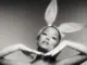 Ariana Grande  Knew Better / Forever Boy Mp3 Download