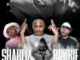 Mlamanisi  Thembelihle Mp3 Download