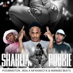 Mlamanisi Thembelihle Mp3 Download