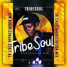 TribeSoul  2K Appreciation Mixtape Mp3 Download