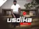 USdika  Senza nje Mp3 Download