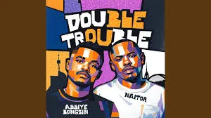 Assiye Bongzin  Double Trouble ft Naitor Mp3 Download