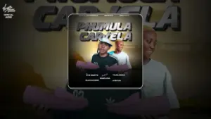 Nation Deep Spikiri Wave Ft Potassium_101 & Morena Deh keys Mp3 Download