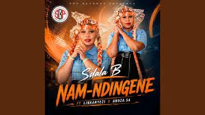 Sdala B  Nam Ndingene ft. Iinkanyezi & Anuza SA Mp3 Download