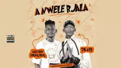 Naleboy Young King  Paesekele ft. Massive Productions Mp3 Download