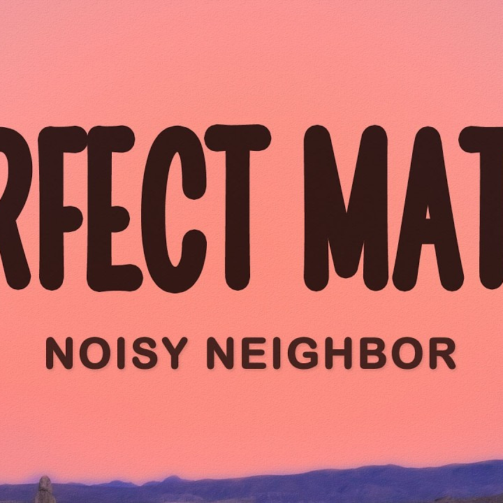 NOISY NEIGHBOR – PERFECT MATCH