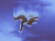 Martin Garrix – This Dream Of You